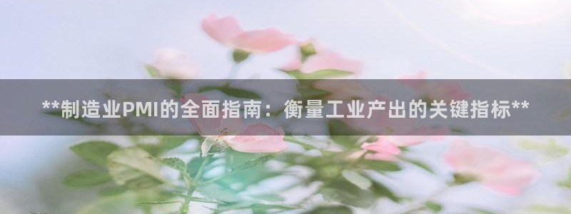 彩神v8客户端：**制造业PMI的全面指南：衡量工业产出的关键指标**