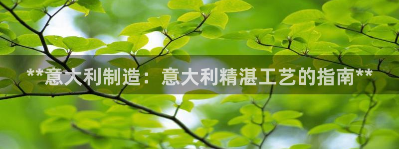 彩神8下载安卓版-彩神8(可提现)官网版1.0.0：**意大利制造：意大利精湛工艺的指南**