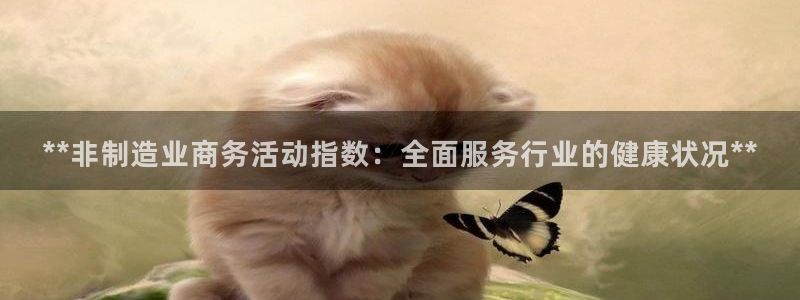 彩神是什么平台的游戏：**非制造业商务活动指数：全面服务行业的健康状况**