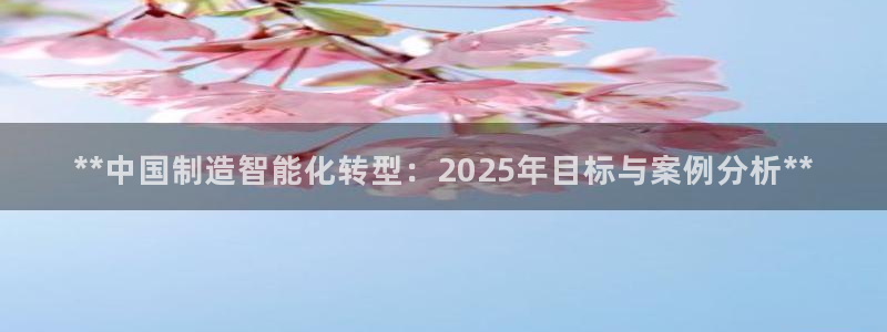 彩神vip购彩：**中国制造智能化转型：2025年目标与案例分析**