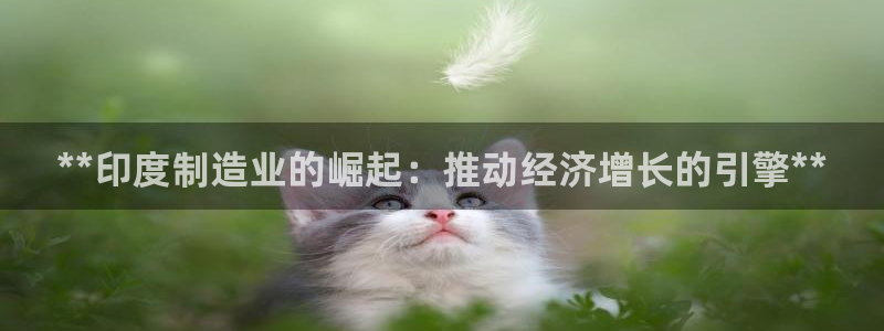 彩神邀请码:00-00-3267：**印度制造业的崛起：推动经济增长的引擎**