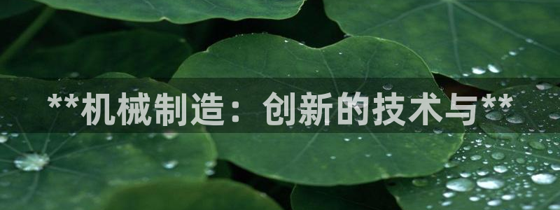 彩神v争霸是啥：**机械制造：创新的技术与**