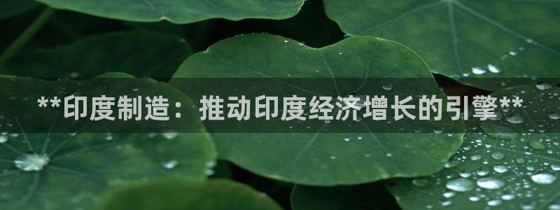 彩神是正规平台吗知乎：**印度制造：推动印度经济增长的引擎*