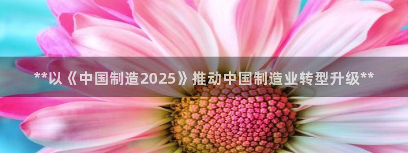 彩神vip购彩大厅在哪：**以《中国制造2025》推动中国制造业转型升级**