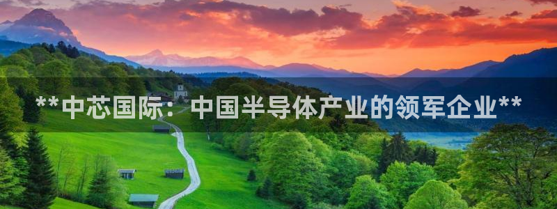 新版彩神v8登录：**中芯国际：中国半导体产业的领军企业**