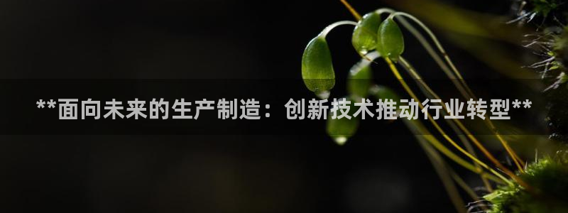 彩神vii手游下载：**面向未来的生产制造：创新技术推动行业转型**