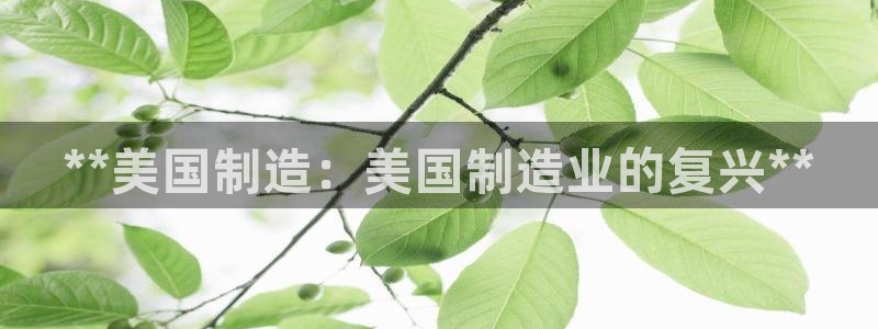 彩神数码科技有限公司：**美国制造：美国制造业的复兴**