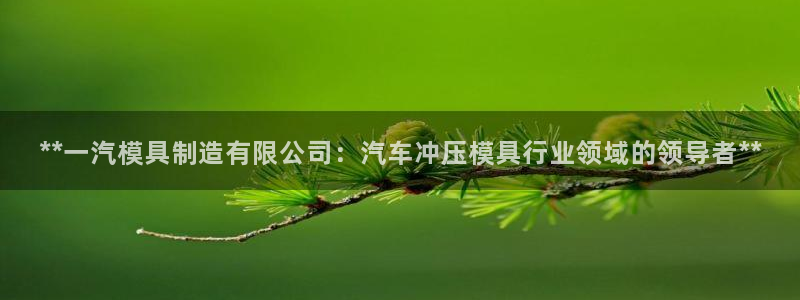 彩神v争霸是啥：**一汽模具制造有限公司：汽车冲压模具行业领域的领导者**