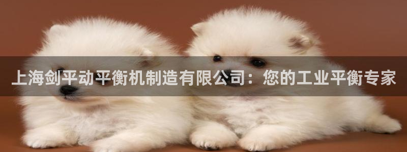 彩神广告有限公司：上海剑平动平衡机制造有限公司：您的工业平衡专家