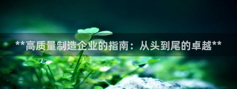 彩神viii是正规平台吗?：**高质量制造企业的指南：从头到尾的卓越**