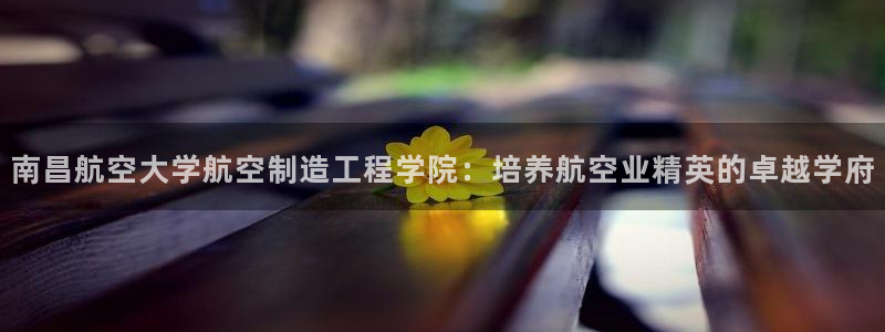 彩神用户登录：南昌航空大学航空制造工程学院：培养航空业精英的卓越学府