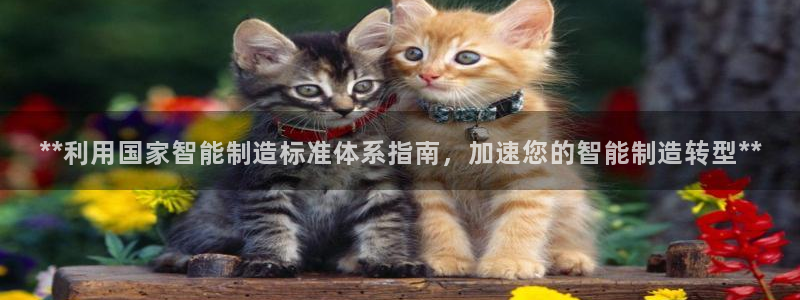 彩神是真的吗