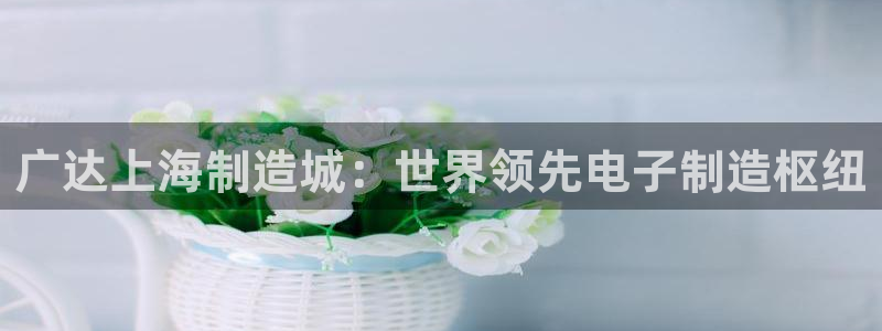 大发彩神官网下载：广达上海制造城：世界领先电子制造枢纽