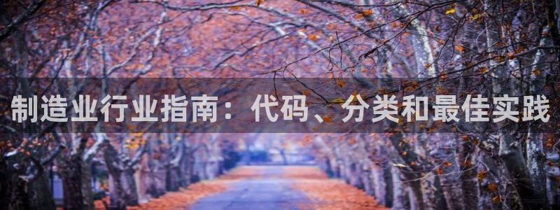 彩神v集团有限公司：制造业行业指南：代码、分类和最佳实践