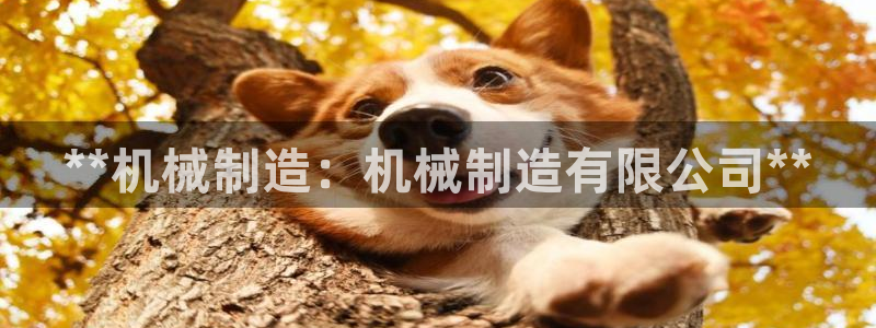 彩神怎么样可以提现：**机械制造：机械制造有限公司**