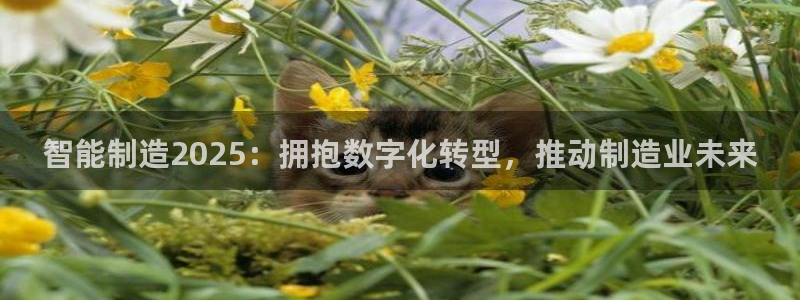 彩神vip官方网站：智能制造2025：拥抱数字化转型，推动制造业未来