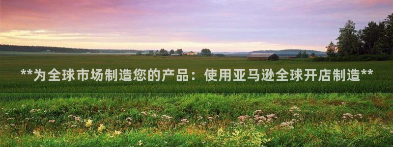 彩神赢钱了吗是真的吗：**为全球市场制造您的产品：使用亚马逊全球开店制造**