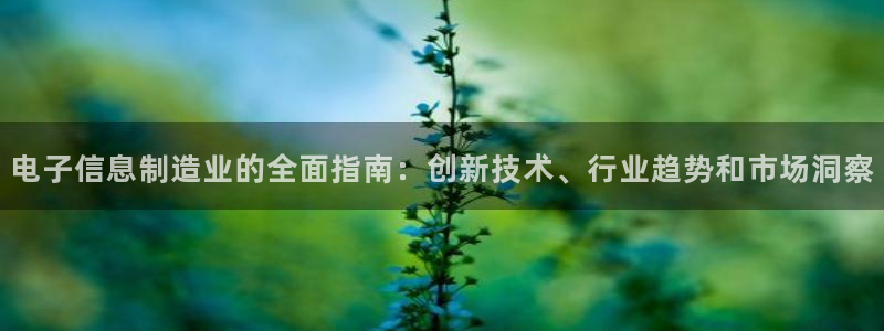 彩神vip购彩大厅：电子信息制造业的全面指南：创新技术、行业趋势和市场洞察