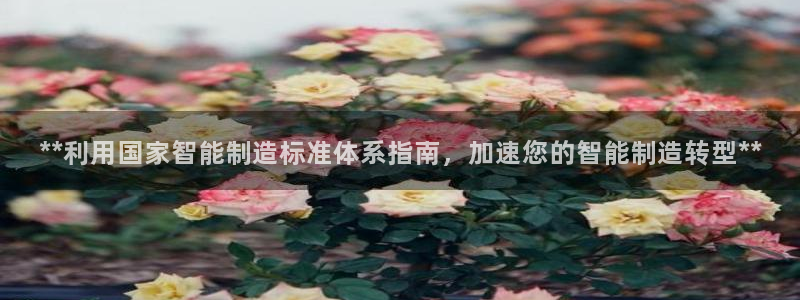 彩神V官网：**利用国家智能制造标准体系指南，加速您的智能制造转型**