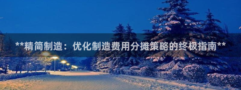 彩神Vll购彩大厅：**精简制造：优化制造费用分摊策略的终极