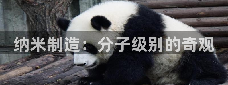 彩神v8购彩大厅登：纳米制造：分子级别的奇观