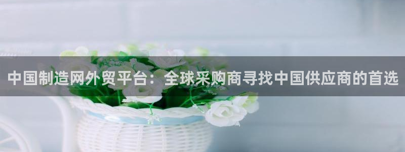 彩神velcome购彩大厅：中国制造网外贸平台：全球采购商寻找中国供应商的首选