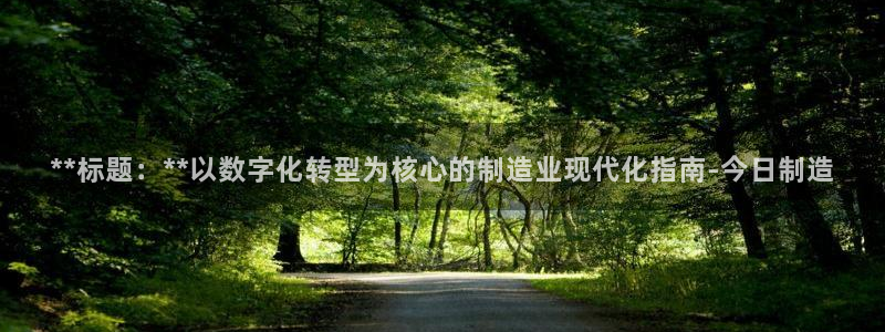 大发彩神最高邀请码：**标题：**以数字化转型为核心的制造业现代化指南-今日制造