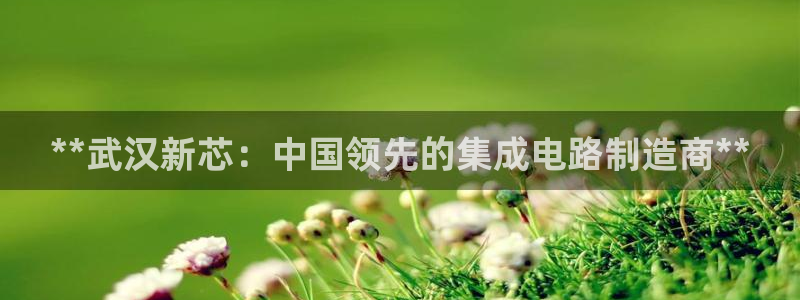 彩神vlll官方网：**武汉新芯：中国领先的集成电路制造商**