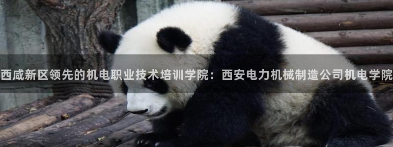 彩神合法吗.是国家认可的吗：西咸新区领先的机电职业技术培训学院：西安电力机械制造公司机电学院