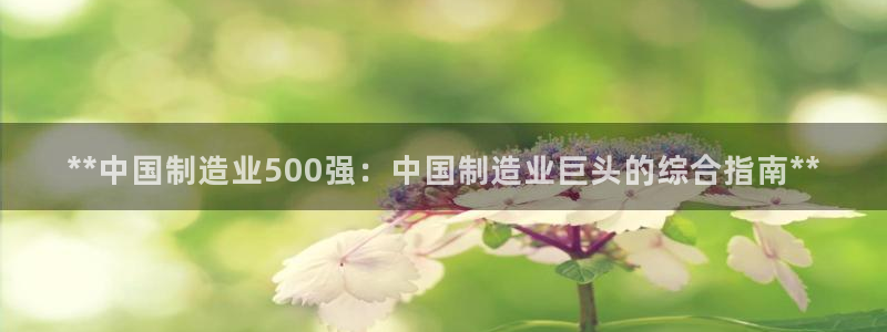 彩神购彩-购彩大厅入口娱乐首选：**中国制造业500强：中国制造业巨头的综合指南**