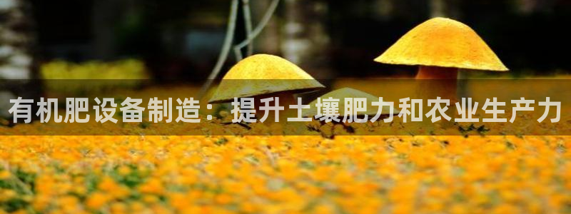 彩神Vll购彩大厅：有机肥设备制造：提升土壤肥力和农业生产力
