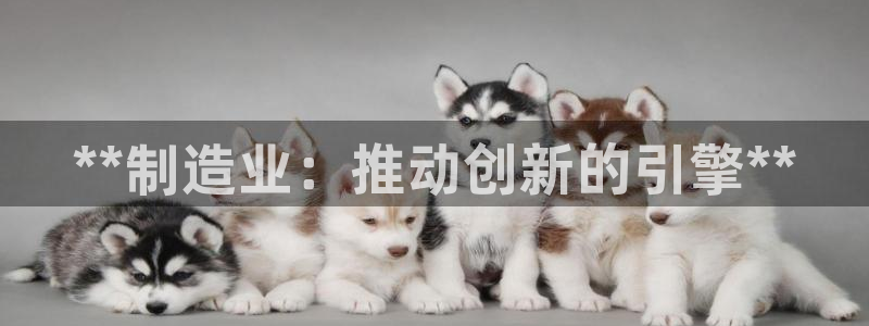 彩神大发官网：**制造业：推动创新的引擎**