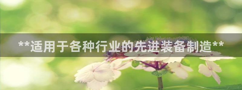 彩神velcome购彩大厅：**适用于各种行业的先进装备制造**