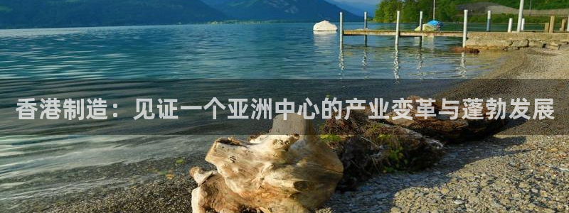 彩神vii手游下载：香港制造：见证一个亚洲中心的产业变革与蓬勃发展