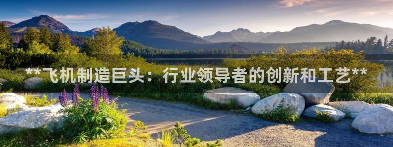 彩神v8是一个什么平台啊：**飞机制造巨头：行业领导者的创新和工艺**