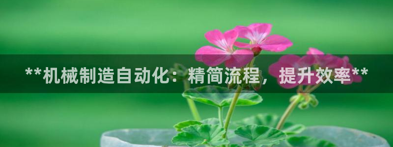 彩神输的钱是赌博还是诈骗：**机械制造自动化：精简流程，提升效率**