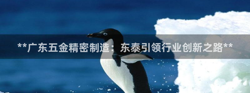 下载彩神通关注码：**广东五金精密制造：东泰引领行业创新之路**