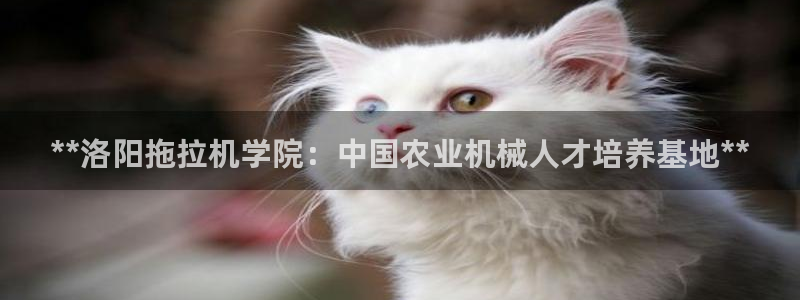 彩神赢的钱是哪里来的：**洛阳拖拉机学院：中国农业机械人才培养基地**
