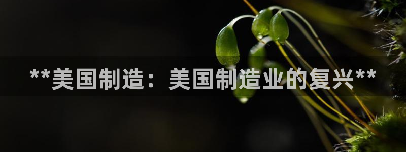 彩神大发云：**美国制造：美国制造业的复兴**