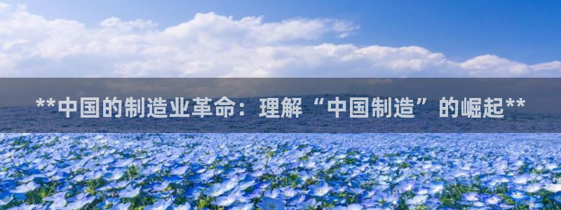 下载彩神通关注金码：**中国的制造业革命：理解“中国制造”的崛起**