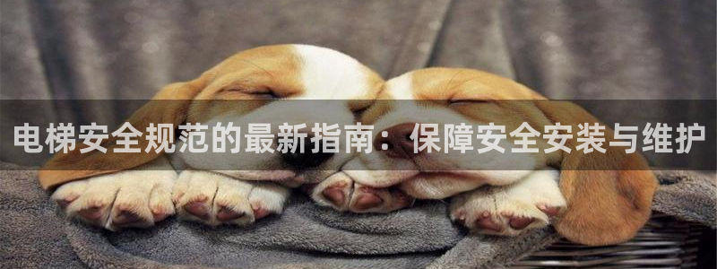彩神v8购彩大厅登：电梯安全规范的最新指南：保障安全安装与维护