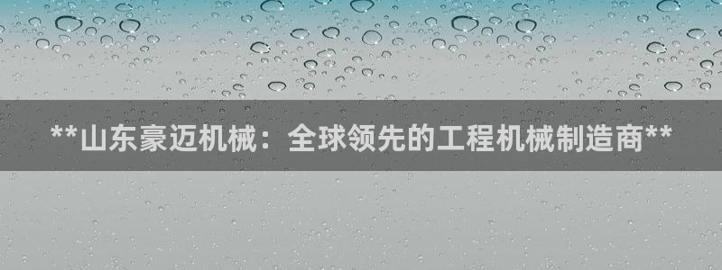 彩神vl官网：**山东豪迈机械：全球领先的工程机械制造商**