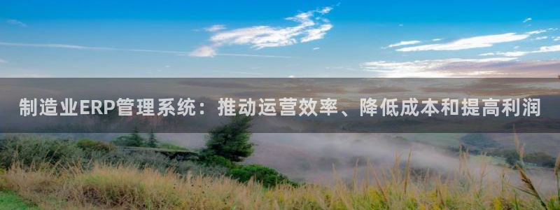 彩神v8是一个什么平台：制造业ERP管理系统：推动运营效率、降低成本和提高利润