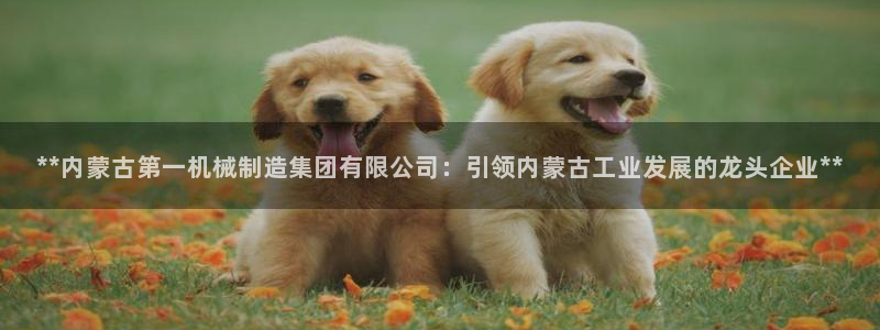 彩神vii官网：**内蒙古第一机械制造集团有限公司：引领内蒙