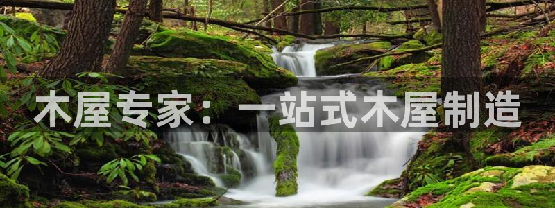 彩神是真的吗：木屋专家：一站式木屋制造
