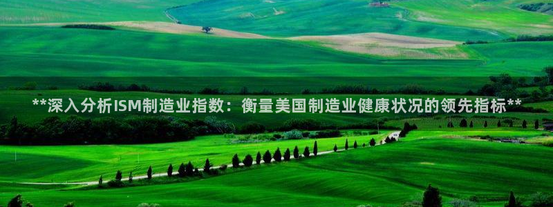 在彩神网输了六万多怎么拿回来：**深入分析ISM制造业指数：衡量美国制造业健康状况的领先指标**