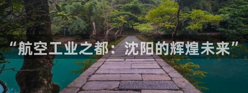 彩神网合法吗：“航空工业之都：沈阳的辉煌未来”