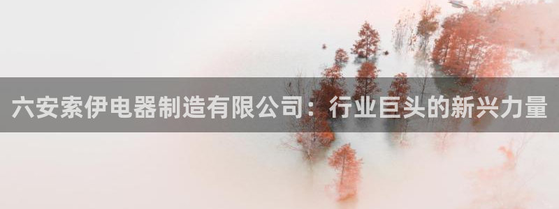 彩神v天天：六安索伊电器制造有限公司：行业巨头的新兴力量