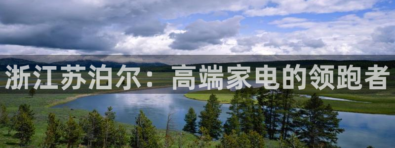 彩神8下载安卓版-彩神8(可提现)官网版1.0.0：浙江苏泊尔：高端家电的领跑者