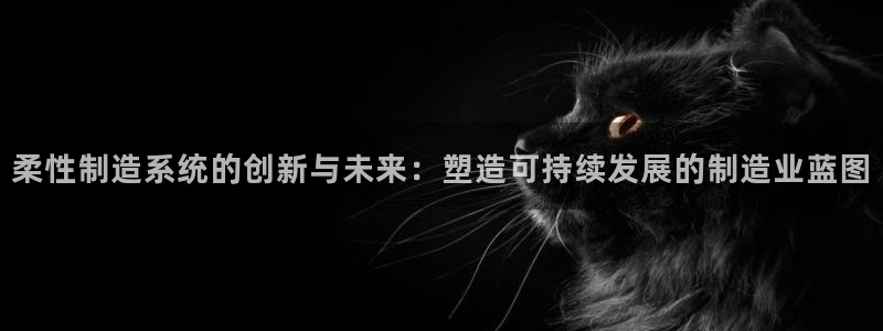 彩神vii官网大赢家
